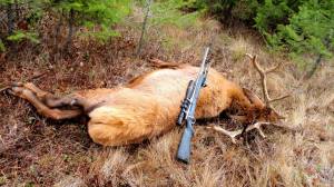 10437023_920024971348467_5740881785725877042_n