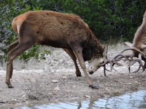 949d9c_83a8295fe15247d0a3b8a95ad6d17384.jpg_srz_810_607_75_22_0.50_1.20_0.00_jpg_srz