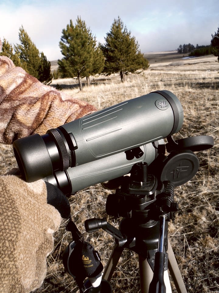 20690_461345577362424_2325646179895181854_n (1)