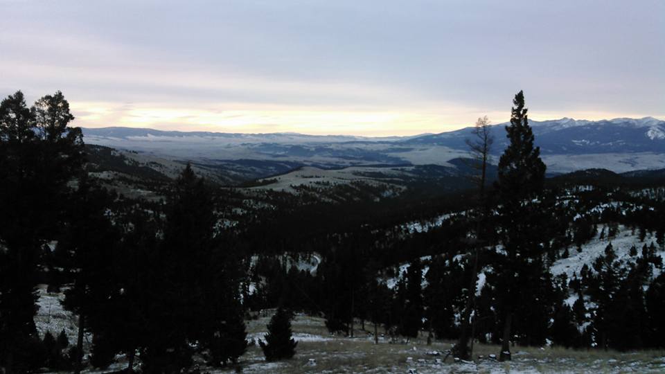 12279180_569109629919351_4034536011022480949_n