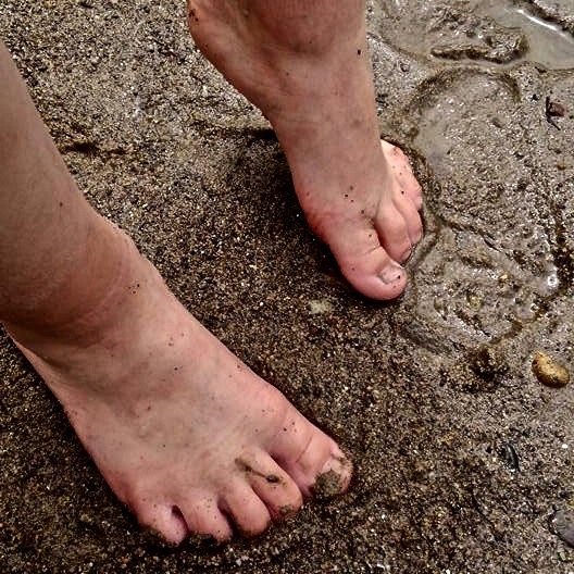 19059099_10155413418343234_8093305331343041643_n