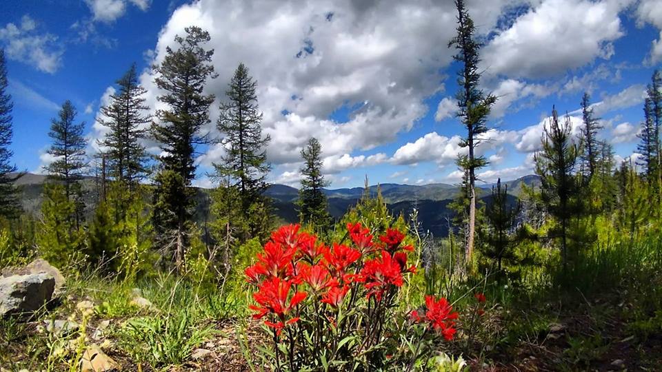 19059479_10155419914043234_5627682673176173819_n