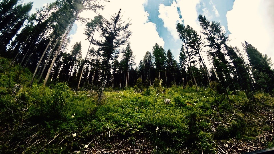 19224853_10155419983328234_5663306329287464531_n