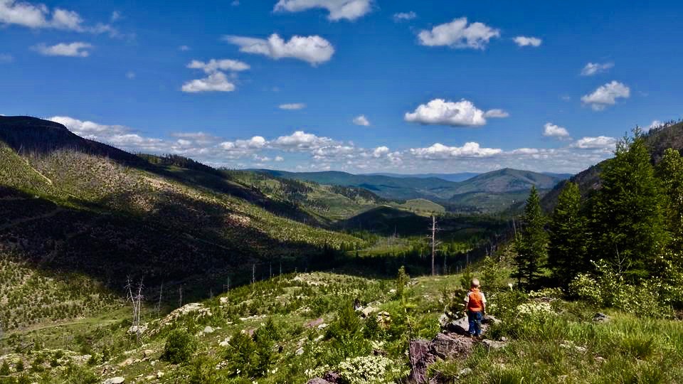 19225665_10155419983558234_1739261303243697128_n