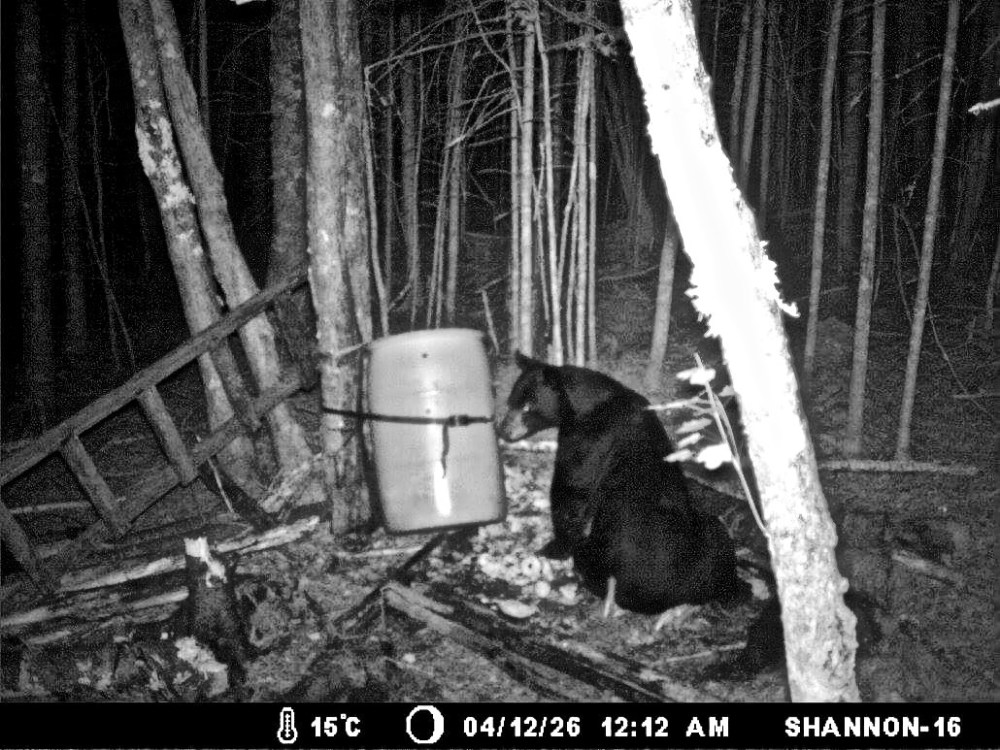 FB_IMG_1504135960702 2