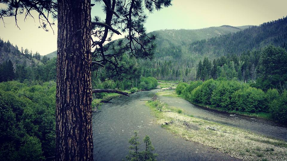 13445715_661866493976997_2266883000660076609_n