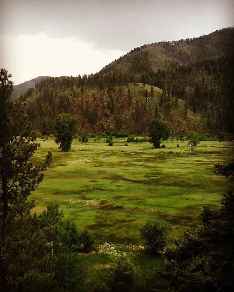 13521944_663203243843322_2253069688028793301_n