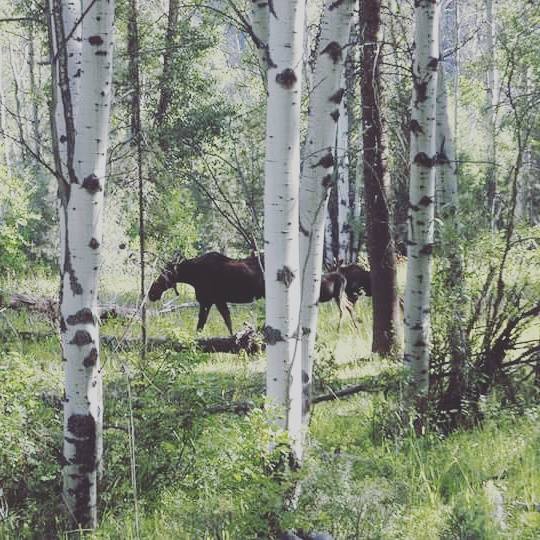 13912834_691348971028749_7259094669491596881_n