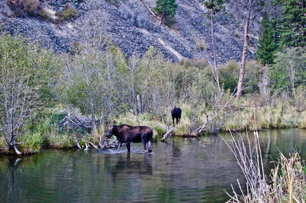 31959901_2334928609858089_5105078955015143424_n