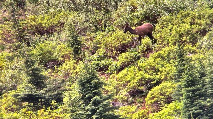 Screen Shot 2019-06-28 at 9.38.37 AM