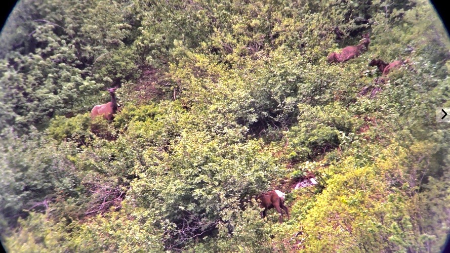 Screen Shot 2019-06-28 at 9.39.04 AM